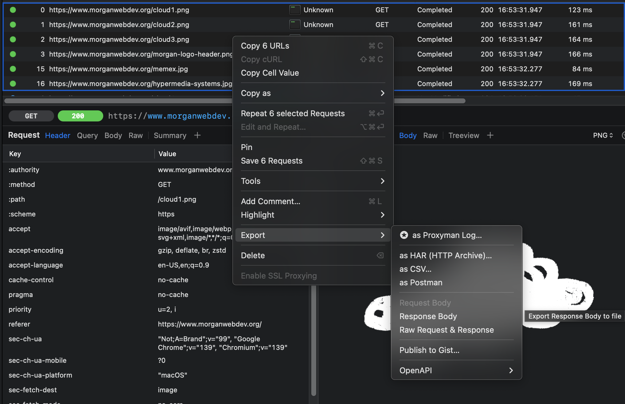 Example Proxyman Screenshot Exporting Body Responses