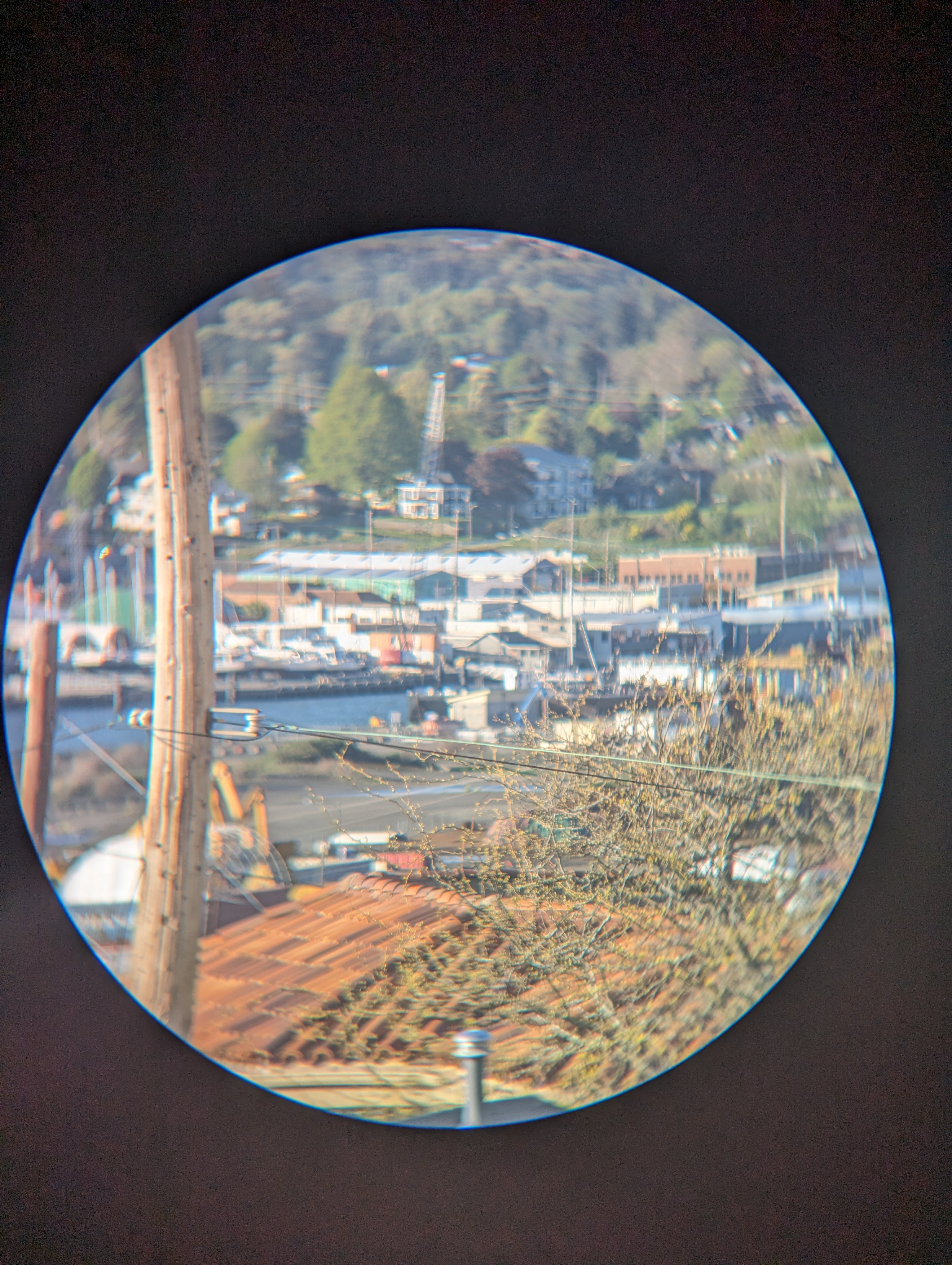 Whatcom Industrial view